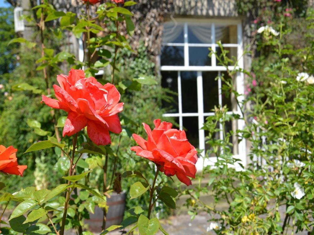 Powis House B&B Стерлинг Экстерьер фото